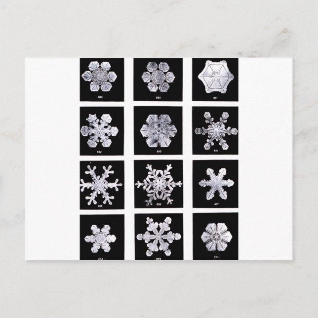 Snöflingor Vykort (Framsida)