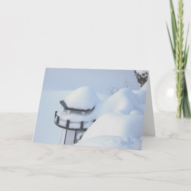 Snöfyr Kort (Framsida)