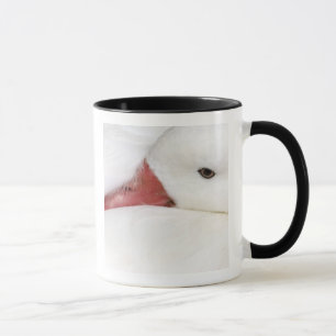 Snögås Chen caerulescens Mugg