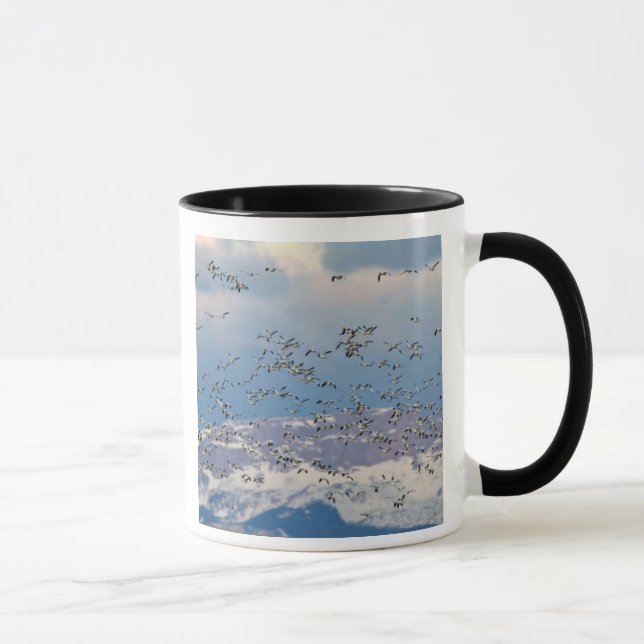 Snögäss under vårflyttningen mugg (Höger)