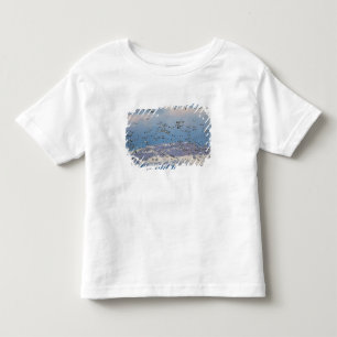 Snögäss under vårflyttningen tee shirt