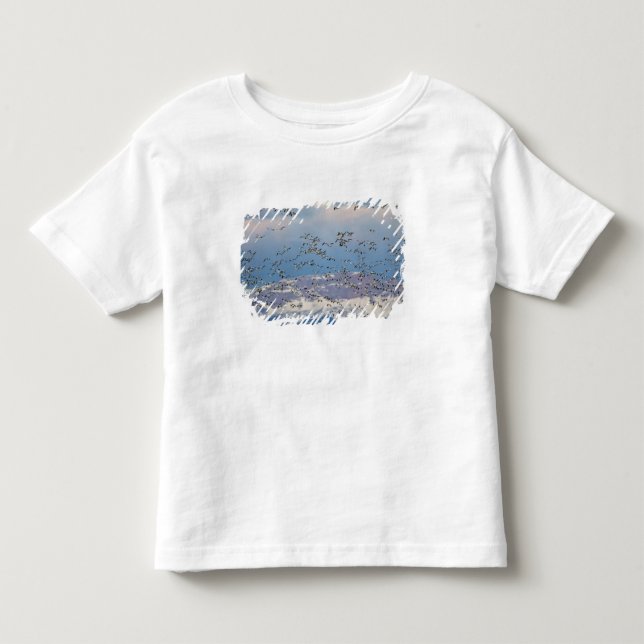 Snögäss under vårflyttningen tee shirt (Framsida)