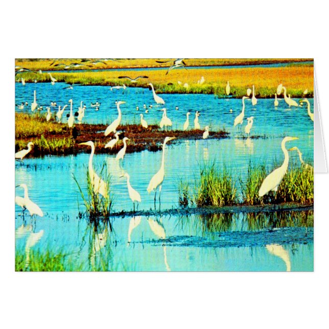 snögegrets OBS kort (Framsidan Horizontal)