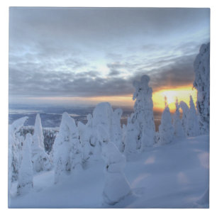 Snöghostar vid solnedgång på Whitefish Mountain Kakelplatta