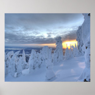 Snöghostar vid solnedgång på Whitefish Mountain Poster