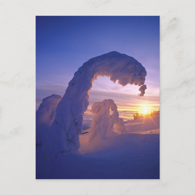 Snöghoster i den vitryska bergskedjan Montana Vykort (Framsida)