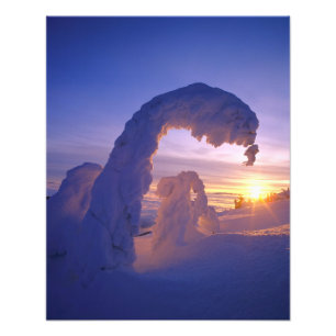 Snöghoster i Whitefish Range i Montana Fototryck