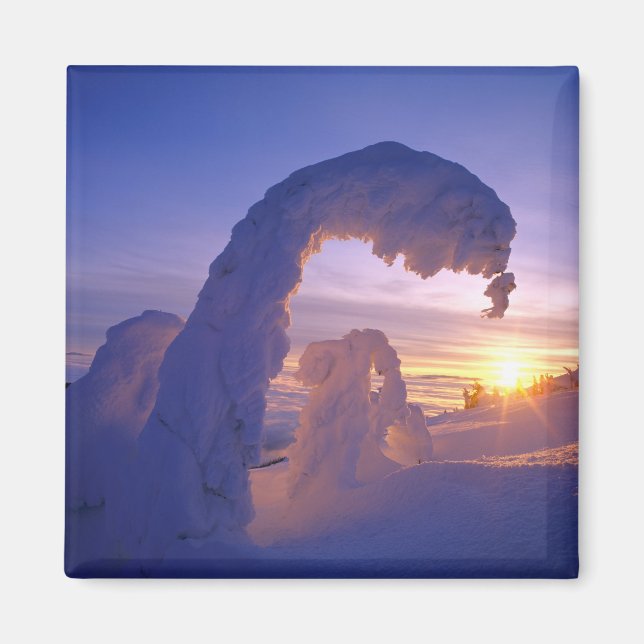 Snöghoster i Whitefish Range i Montana Magnet (Framsidan)