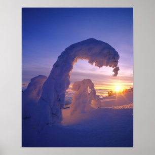 Snöghoster i Whitefish Range i Montana Poster