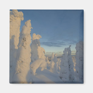 Snöghoster vid solnedgång på Whitefish Mountain 2 Magnet