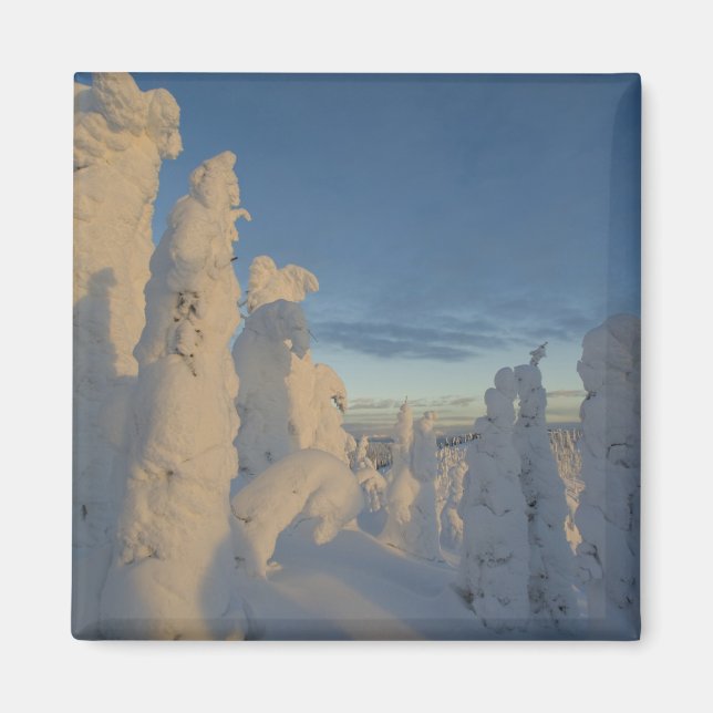 Snöghoster vid solnedgång på Whitefish Mountain 2 Magnet (Framsidan)