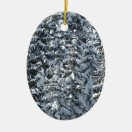 Snögransträdsstruktur Julgransprydnad Keramik