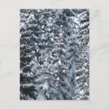 Snögransträdsstruktur