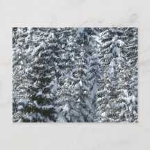 Snögransträdsstruktur