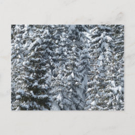 Snögransträdsstruktur Vykort