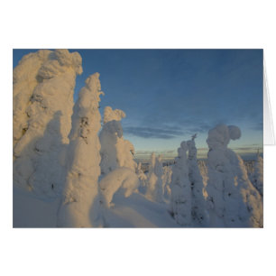 Snögraver vid solnedgång på Whitefish Mountain 2 Hälsningskort