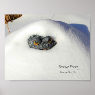Snögroda Poster