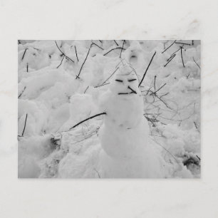 Snögubbe-fotovykort Vykort