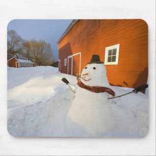 Snögubbe framme av den röda ladugården i Columb Musmatta