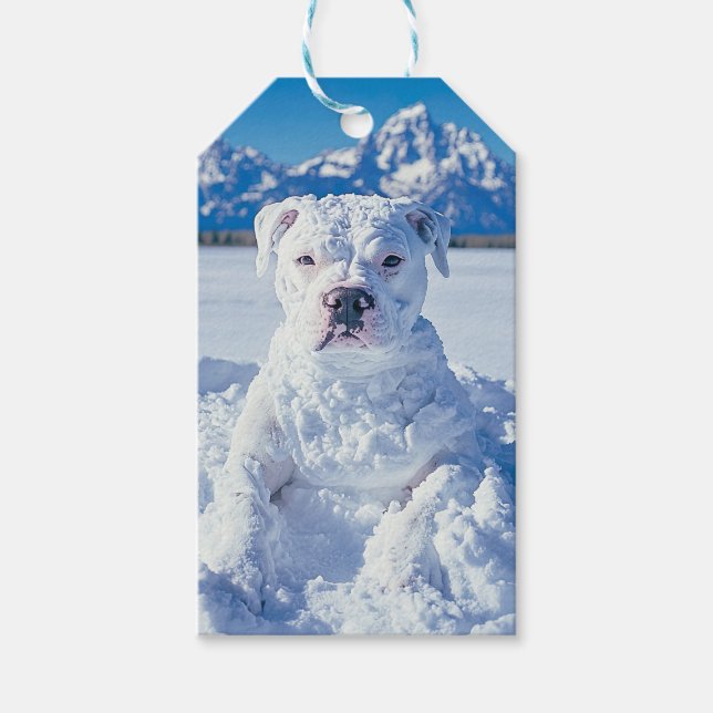 Snögubbe Pitbull Puppy Hund Grand Tetons Gift Märk Presentetikett (Framsidan)