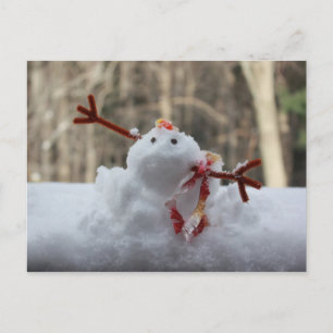 Snögubbekuggning Vykort