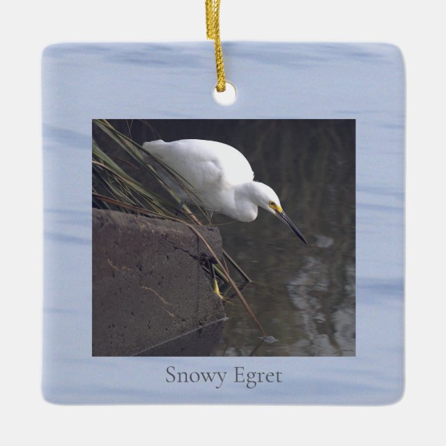 Snöhäger Fågel Foto Ornament  (Framsida)