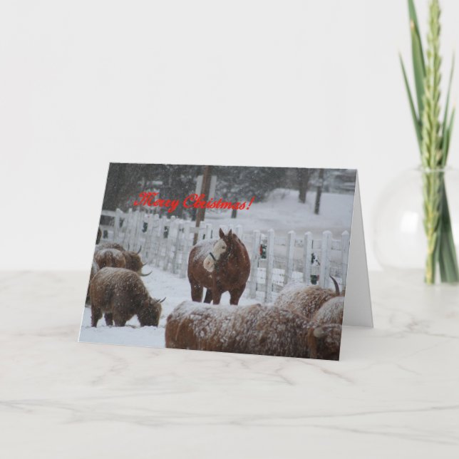 Snöhäst, god jul! helgkort (Framsida)