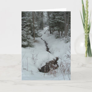 Snöig bäck kort