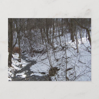 Snöig bäck vykort