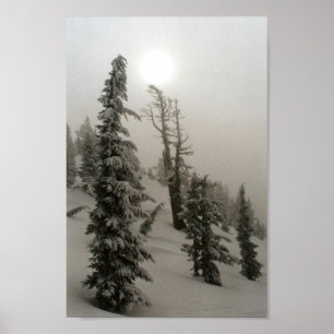 Snöig berg och träd poster