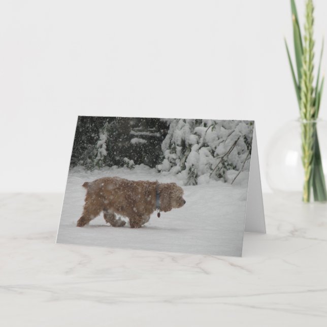Snöig cockerspanielSpaniel Helgkort (Framsida)