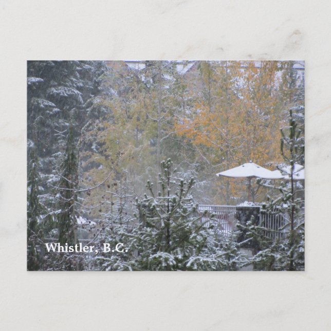 Snöig dag i Whistler B.C. Vykort (Framsida)