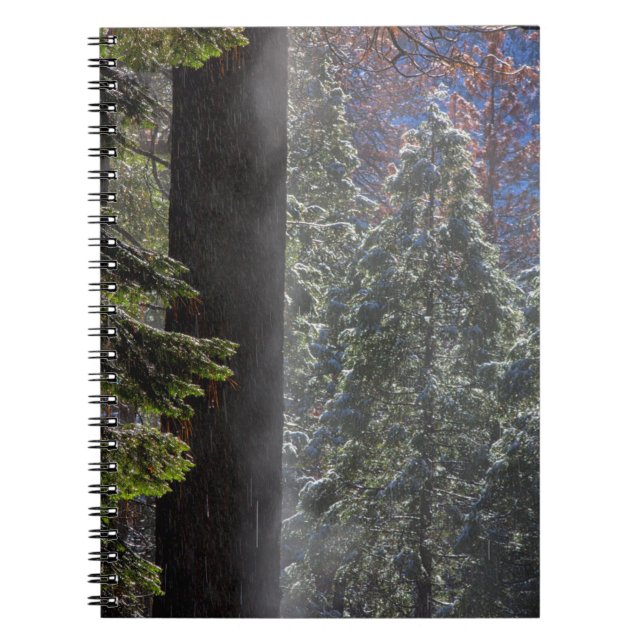 Snöig dimma i skogen anteckningsbok (Framsidan)