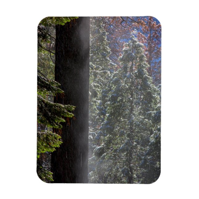 Snöig dimma i skogen magnet (Vertikal)