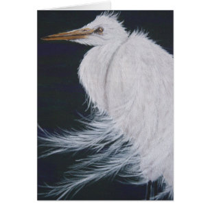 Snöig Egret Hälsningskort