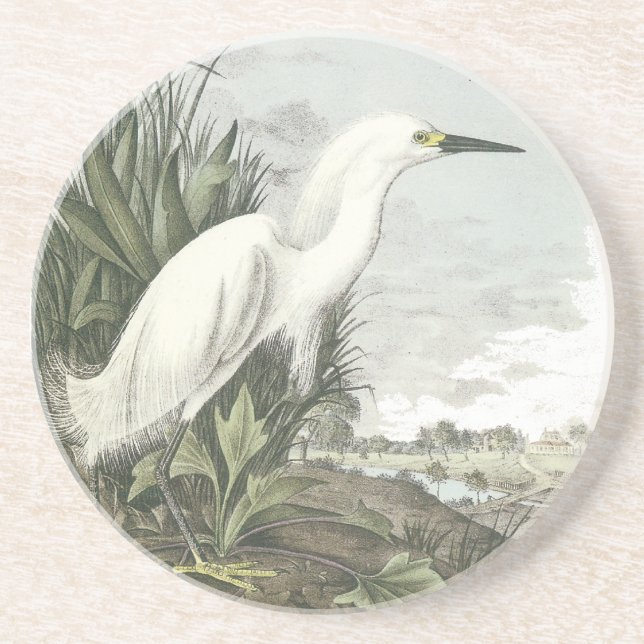 Snöig Egret, John Audubon Underlägg Sandsten (Framsidan)