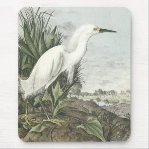 Snöig Egret Musmatta