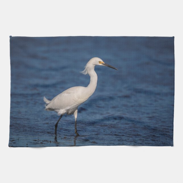 Snöig Egret på den norr stranden Kökshandduk (Horisontell)