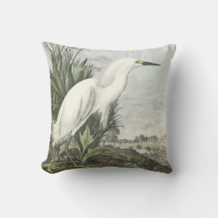 Snöig Egret vid Audubon Kudde