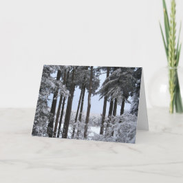 Snöig gräs i blått tänder helgkort