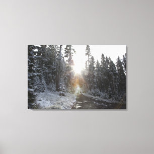 Snöig grusväg som går in i solen canvastryck