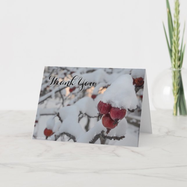 Snöig krabbaApple tack (Framsida)