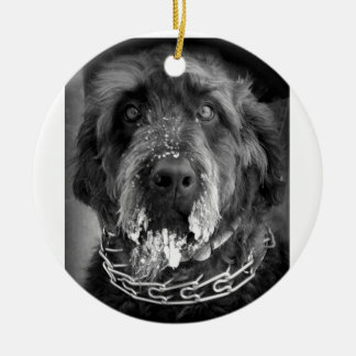 Snöig Labradoodle Julgransprydnad Keramik