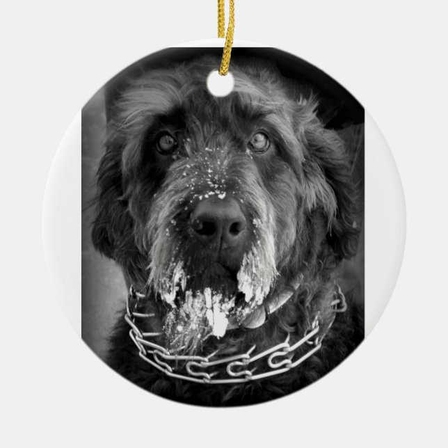Snöig Labradoodle Julgransprydnad Keramik (Framsidan)