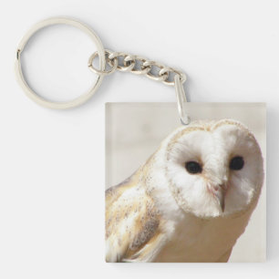 Snöig ladugårdugglaakryl Keychain
