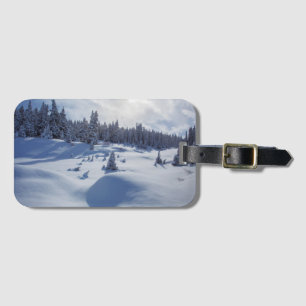Snöig landskap bagagebricka