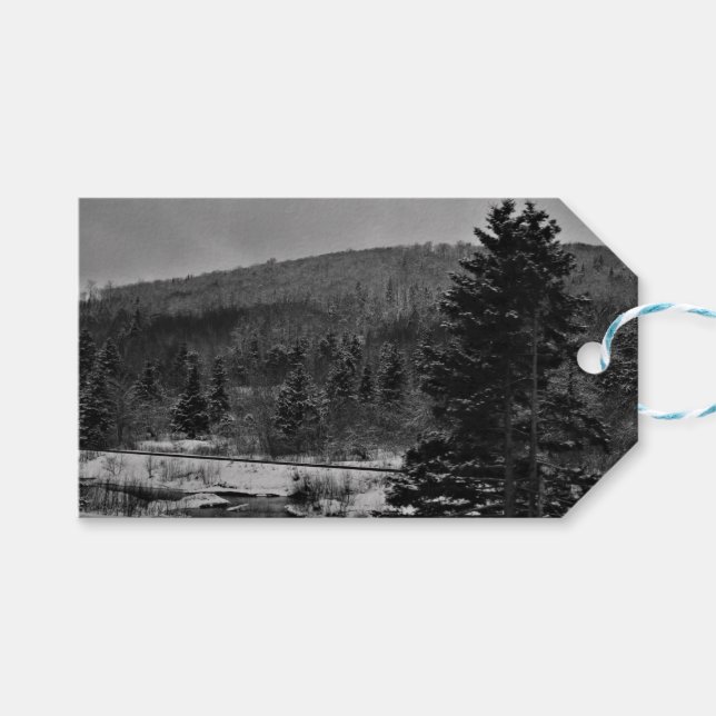 Snöig landskap i svartvitt presentetikett (Framsidan (Horisontell))