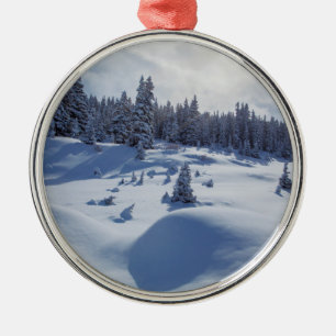 Snöig landskap julgransprydnad metall