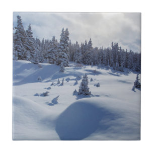 Snöig landskap kakelplatta