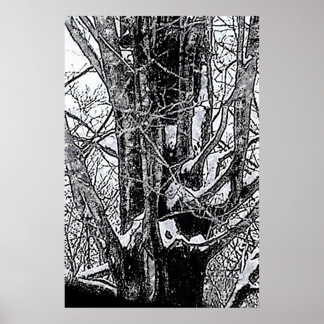 Snöig lönnaffisch de MUSEUMZazzle gåvorna Poster (Framsidan)